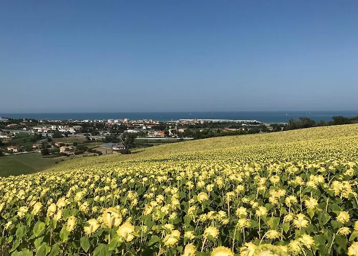 Agricampeggio Abbruzzetti