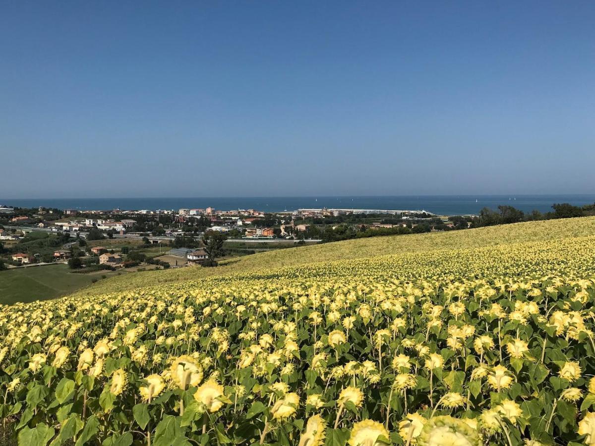 Agricampeggio Abbruzzetti Marina Palmense